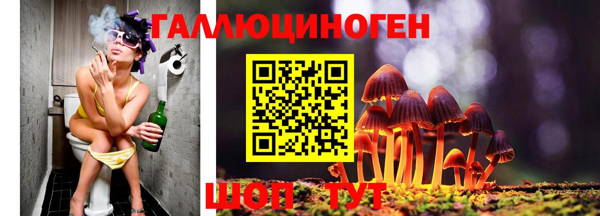 Галлюциногенные грибы мицелий  Вход с VPN  Псилоцибиновые грибы Magic Shrooms  Павловский Посад 